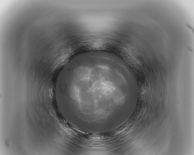 X0000095110746200712141151