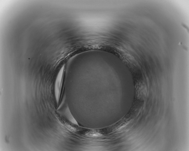 X0000095110747200712141151