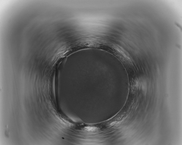 X0000095110748200712141151