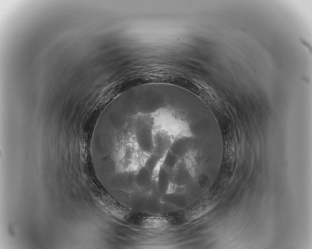 X0000095110749200712141151