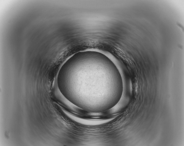 X0000095110750200712141151