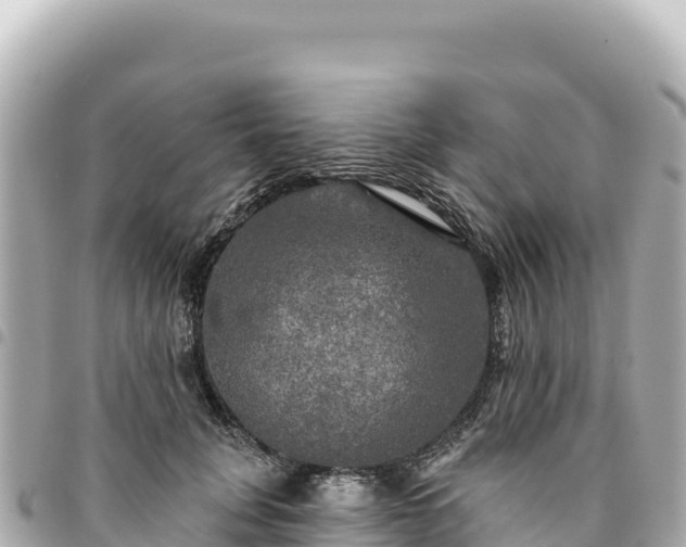 X0000095110751200712141151