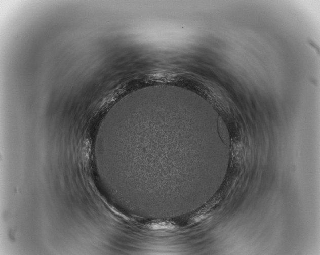 X0000095110752200712141151