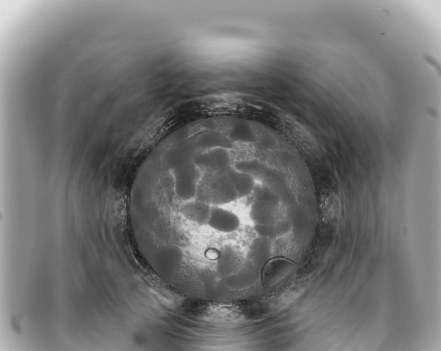 X0000095110753200712141151