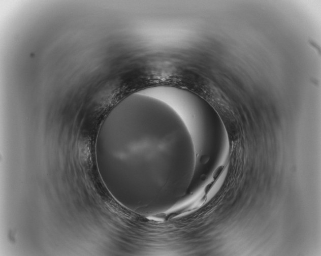 X0000095110754200712141151