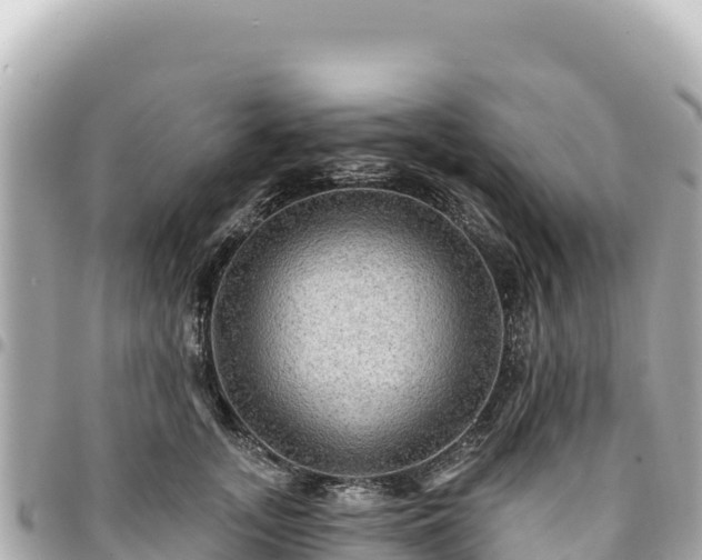 X0000095110755200712141151