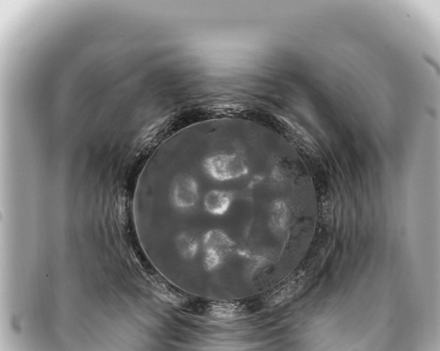 X0000095110757200712141152