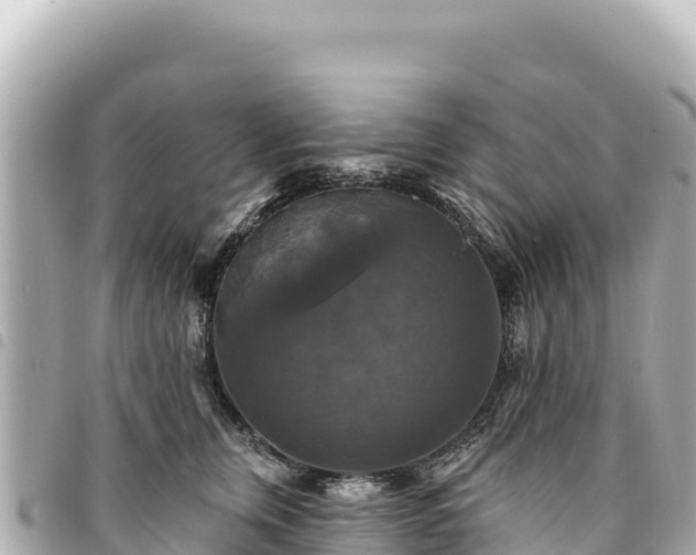 X0000095110759200712141152