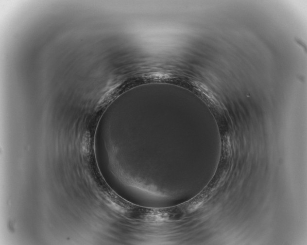 X0000095110760200712141152