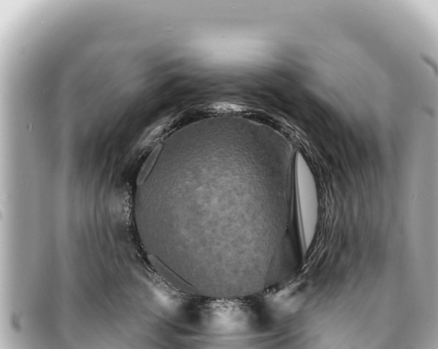 X0000095110762200712141152