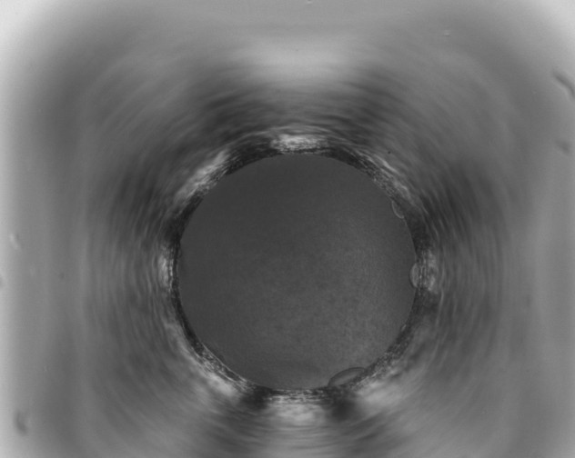 X0000095110763200712141152