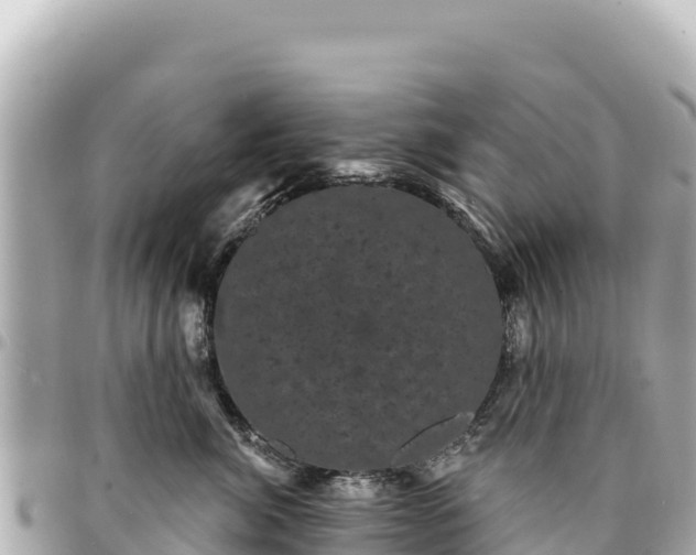 X0000095110764200712141152