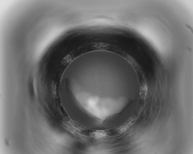 X0000095110765200712141152