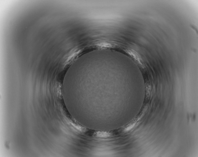 X0000095110766200712141152