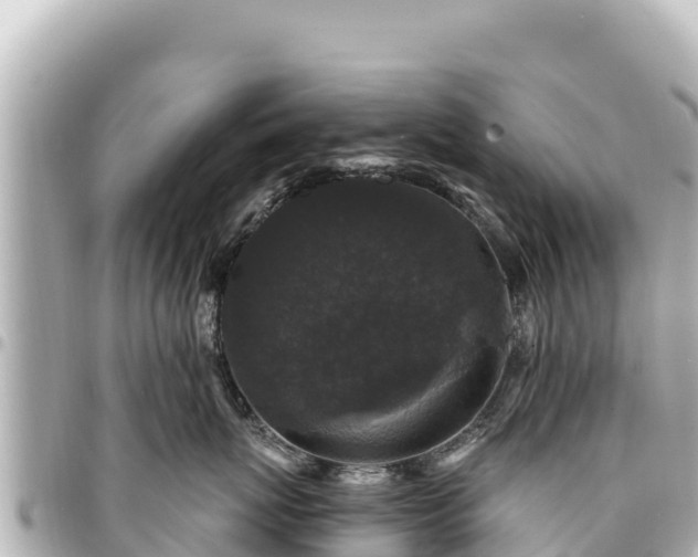 X0000095110767200712141152