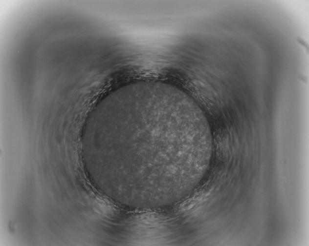 X0000095110769200712141151