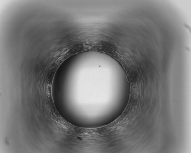 X0000095110770200712141151