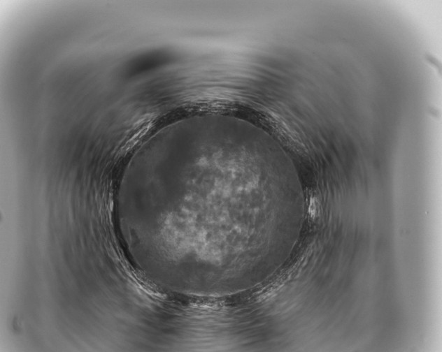 X0000095110771200712141151