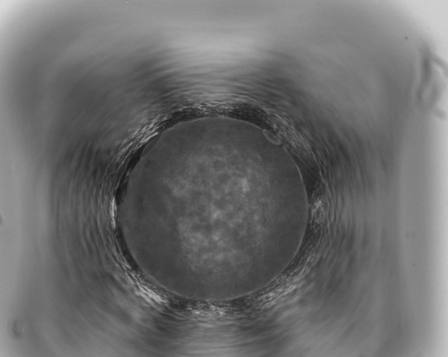 X0000095110772200712141151