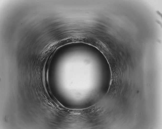 X0000095110773200712141151