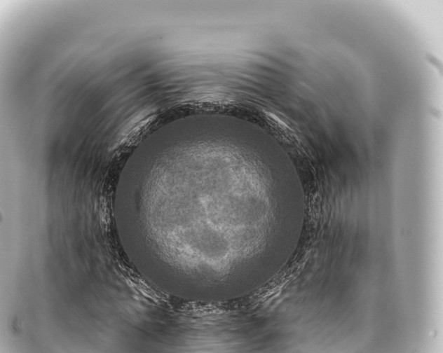 X0000095110774200712141151