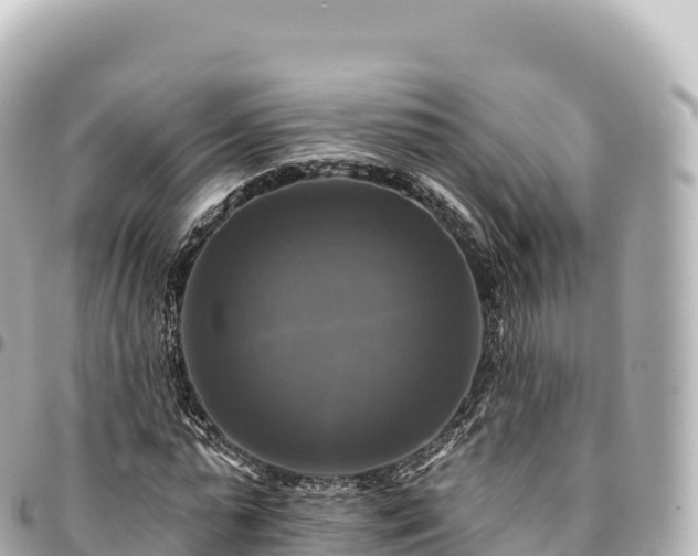 X0000095110775200712141151