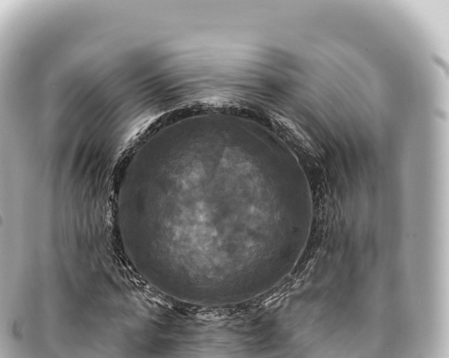 X0000095110776200712141151