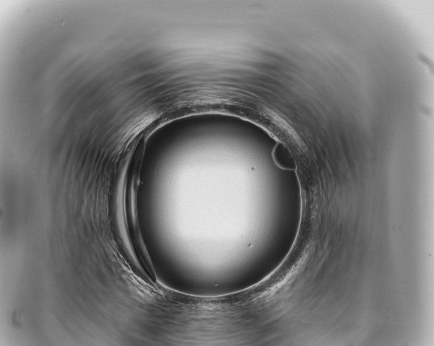 X0000095110777200712141151