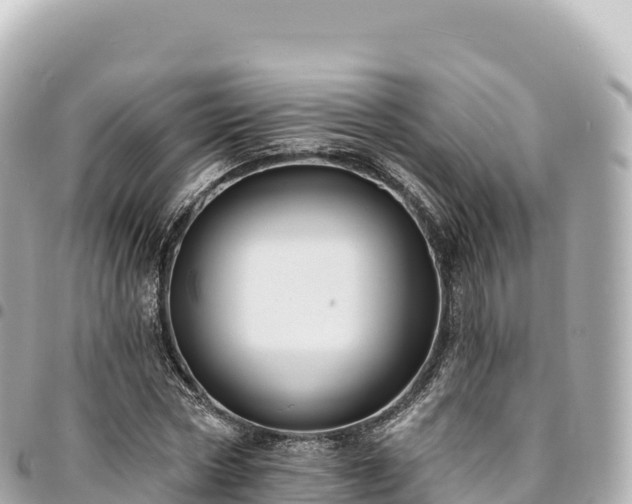 X0000095110778200712141151