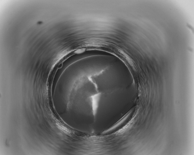 X0000095110779200712141151