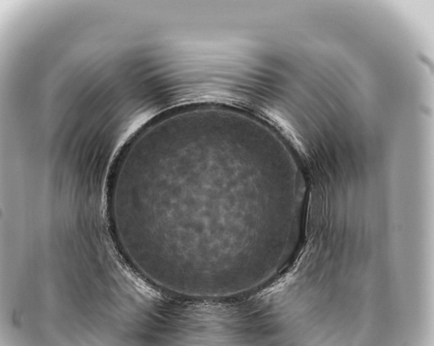 X0000095110780200712141151