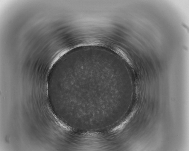 X0000095110781200712141151