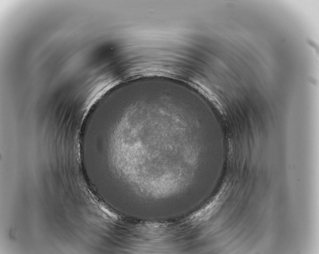 X0000095110782200712141151