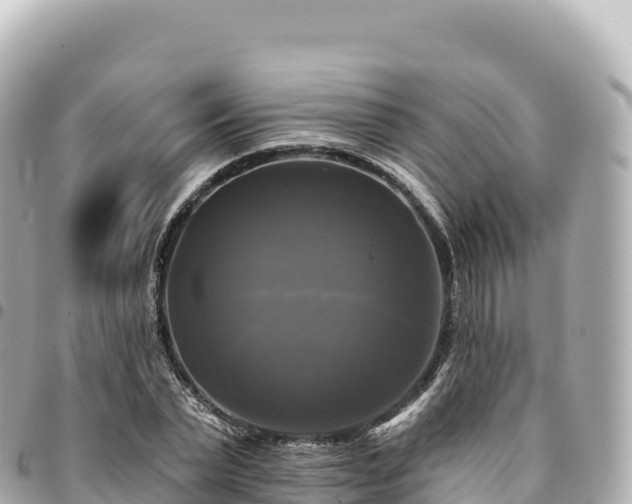 X0000095110783200712141151