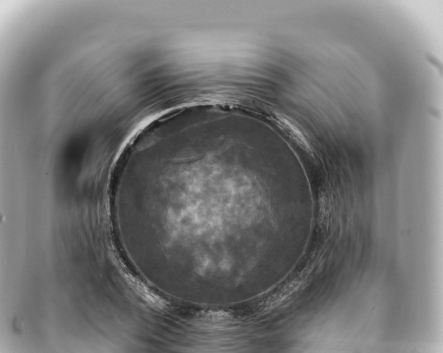 X0000095110784200712141151