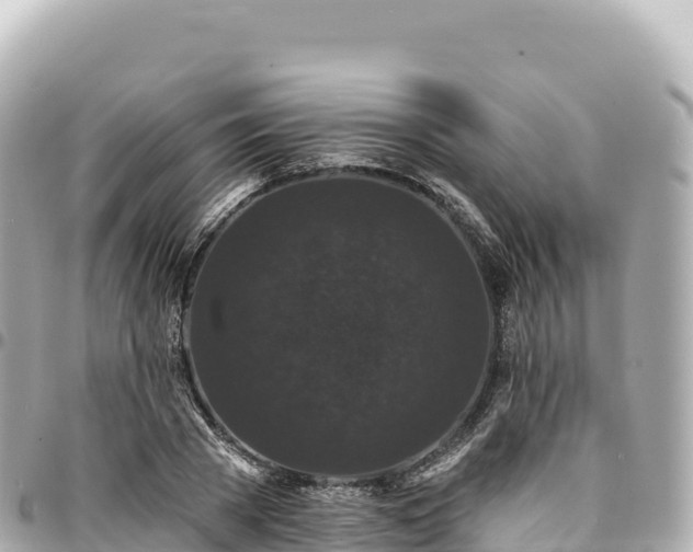 X0000095110785200712141151