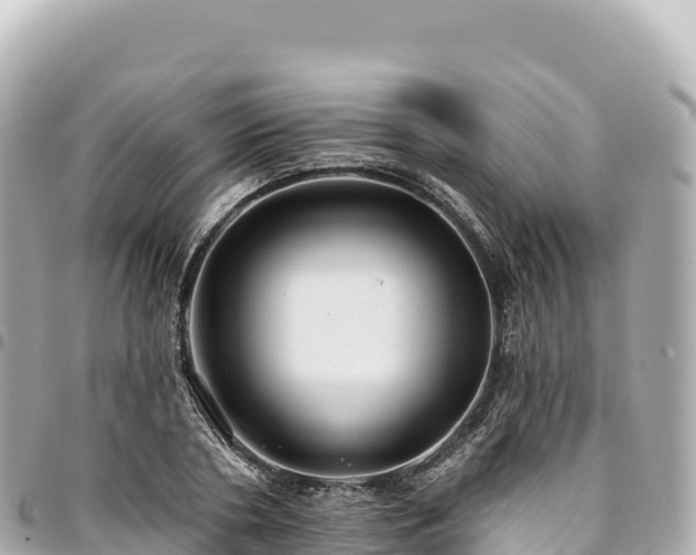 X0000095110786200712141151