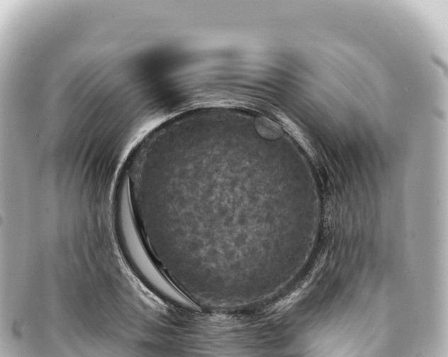 X0000095110787200712141151