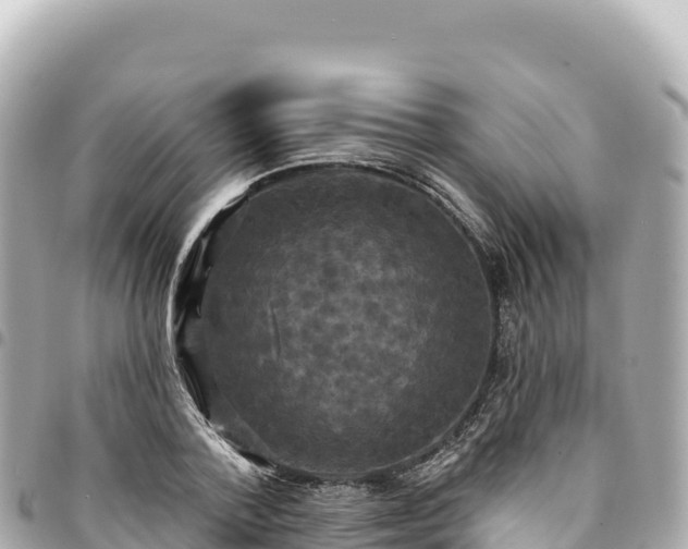 X0000095110788200712141151