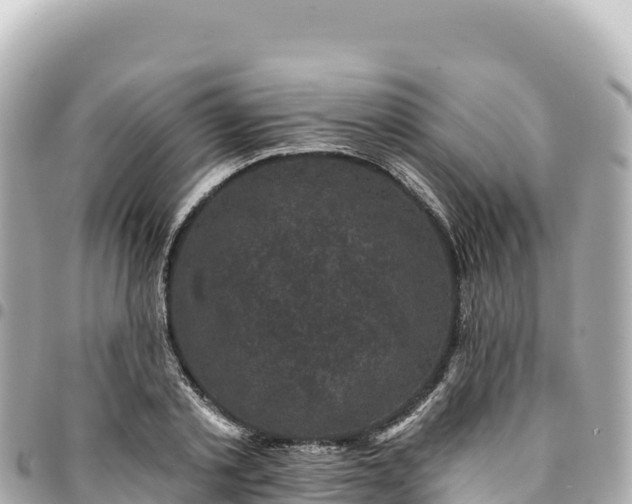 X0000095110789200712141151