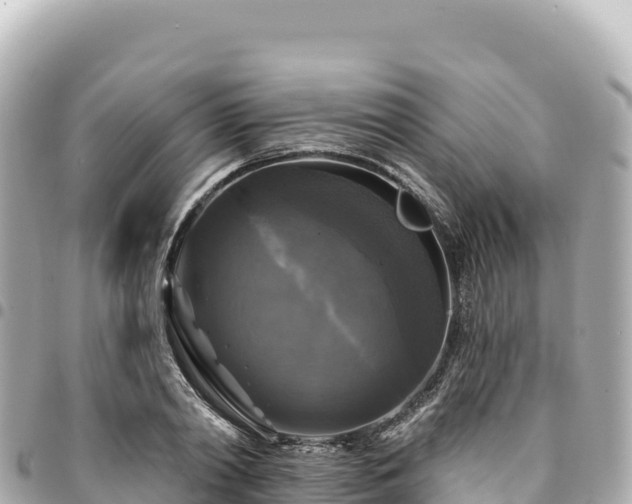 X0000095110790200712141151