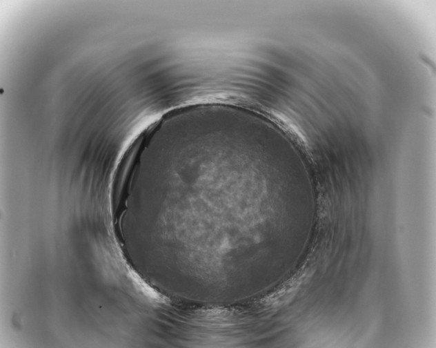 X0000095110792200712141151