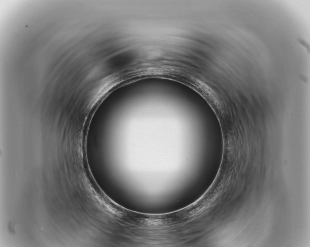 X0000095110794200712141151