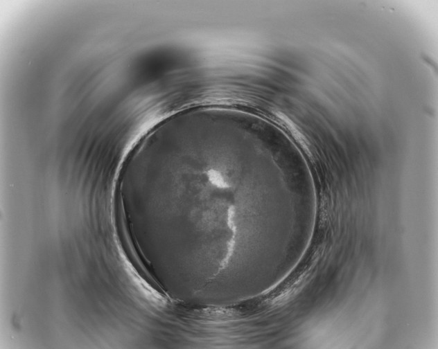 X0000095110795200712141151