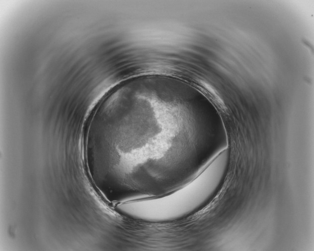 X0000095110796200712141151