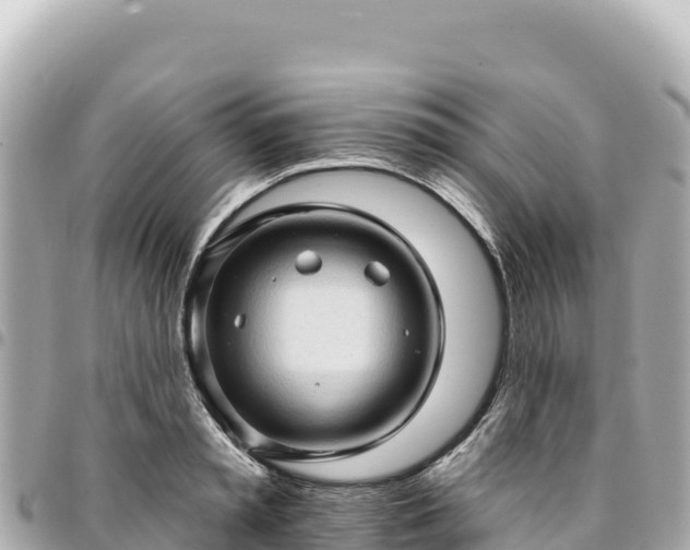 X0000095110797200712141151