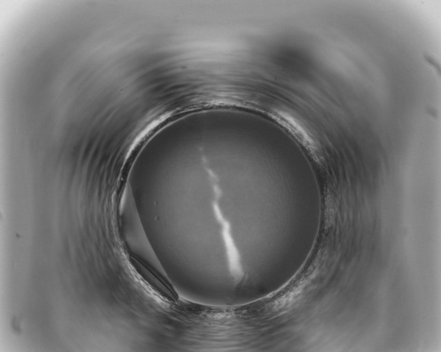 X0000095110798200712141151