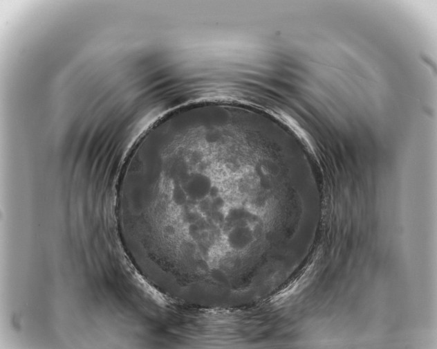 X0000095110799200712141151