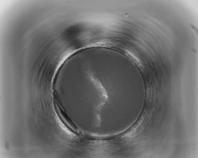 X0000095110800200712141151