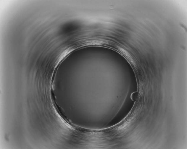 X0000095110802200712141151